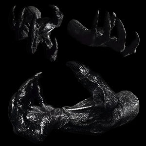 The Kraken’s Claw